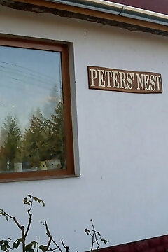 Peters'nest Üdülőház Balatonlelle