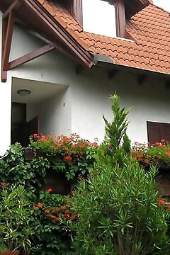 Pergola Panzió Budakeszi