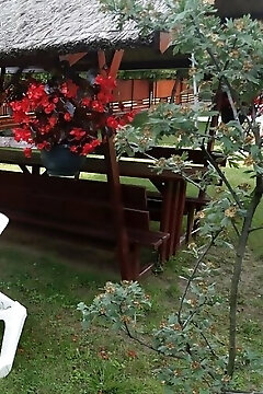 Erzsébet Vendégház Gyomaendrőd