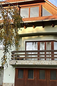 Vadrózsa Apartman Üröm
