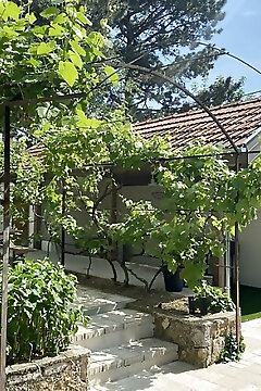 Lugas Vendégház Balatonfüred