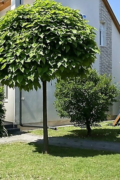 Magyar Apartman Iii. Hajdúszoboszló