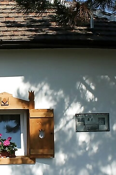 Jégmadár Apartmanok Poroszló