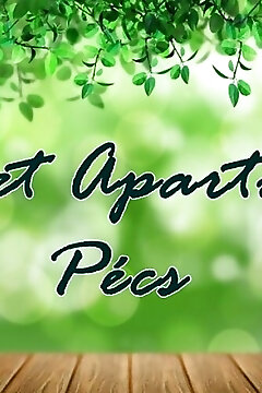 Liget Apartman Pécs
