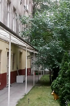 Erik Apartman Budapest