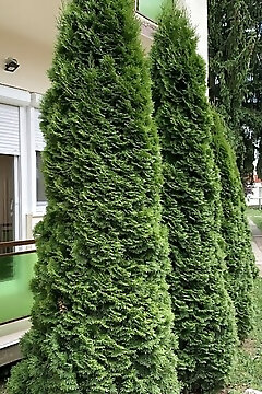 Alexa Apartman Hajdúszoboszló