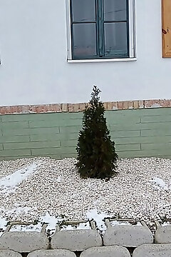 Levendula Studió Apartman Bodony