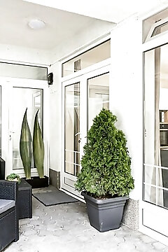 Kaktusz City Apartman Hévíz