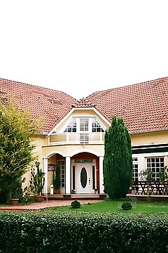 Villa Hedi Panzió Dunakiliti