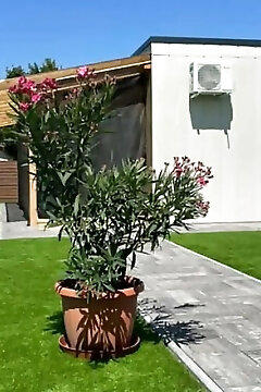 Oppen House Apartman Tiszafüred