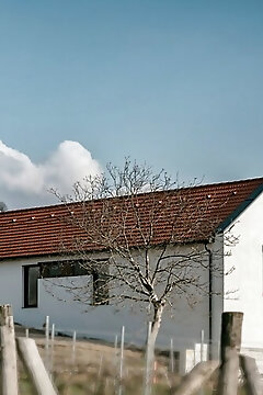 Bandi Weekend House Vendégház Somlójenő