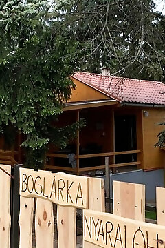 Boglárka Nyaralóház Balatonfűzfő