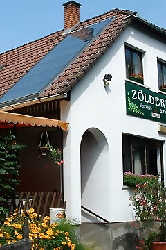 Zölderdő Panzió és Vendéglő Óbánya