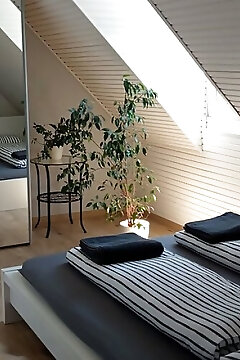 Oliver Apartment Balatonfüred