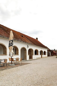 Róza Vendégházak Tényő