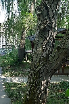 Matula Horgász Nyaraló Gyomaendrőd