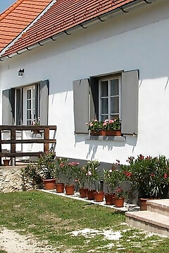 Bruderhaus Szállás Vöröstó