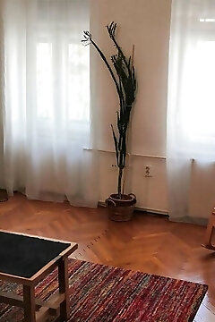 Vince Apartman Pécs