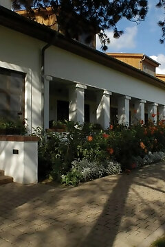 Sarlóspuszta Club Hotel Tatárszentgyörgy