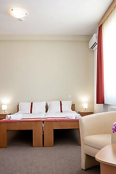 Fordan Hotel Pécs
