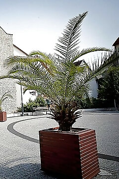 Főtér Panzió Baja