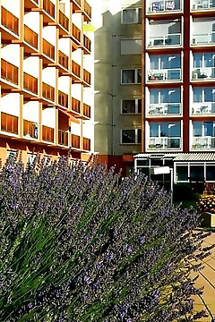 Szivárvány Apartman Siófok