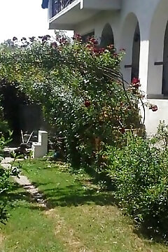 Orsolya Apartman Fonyód-bélatelep