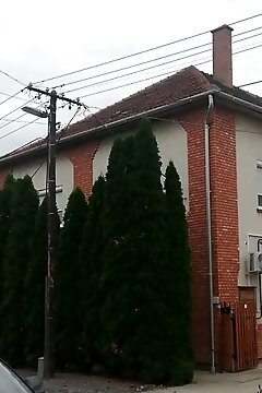Örökzöld Apartman Szeged
