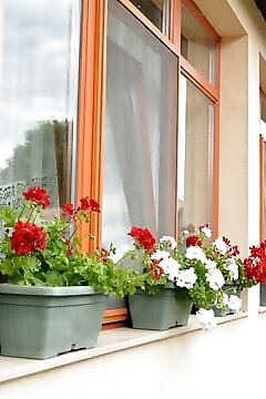 Neuhercz Apartmanok Halászi