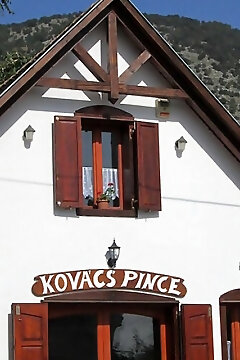 Kovács Pince Apartman Nagyharsány