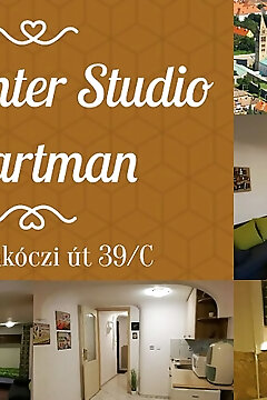 City Center Apartman Pécs