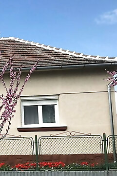 Diána Vendégház Poroszló
