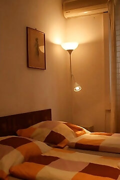 Margaret Bridge Studio Apartment Budapest