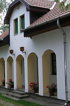 Fűzfa Vendégház Sarud