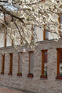 Almafa Apartman Gyula