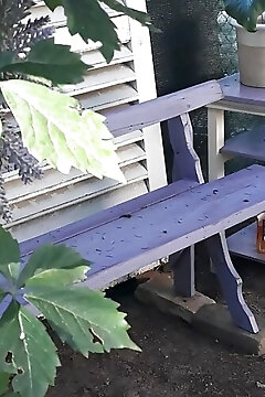 Polly Apartman Igal