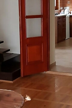 Protea Apartment Hódmezővásárhely