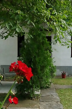 Ezüstfenyő Apartman Gyula