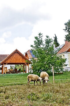 Harmatcsepp Vendégház Kercaszomor