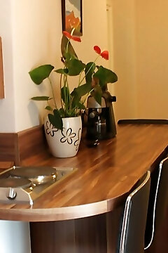 Xénia-d Apartman Hajdúszoboszló
