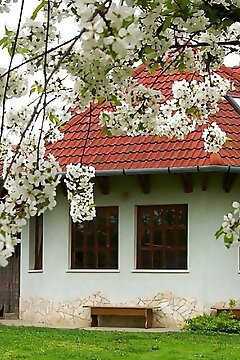 Gábor Apartmanok Abádszalók