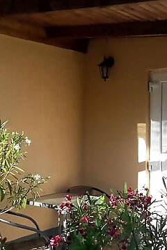 Fűzfa Apartman Ebes