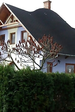House Markó Balatonmáriafürdő