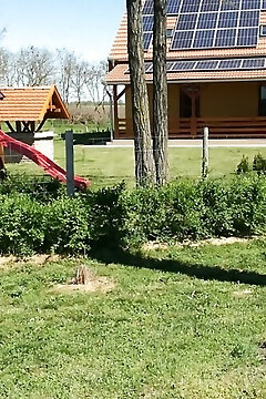 Kaptárlevegős Vendégház Füzesgyarmat