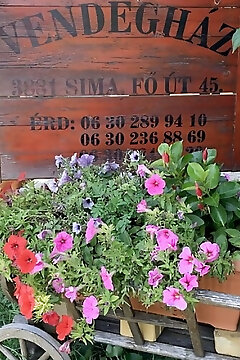 Simai Vendégház Sima