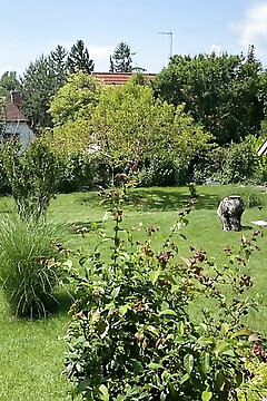 Balatonfüred-péter Apartman Balatonfüred