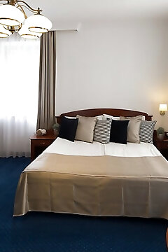 Fonte Hotel Győr