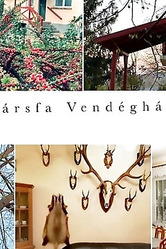 Hársfa Vendégház Tállya