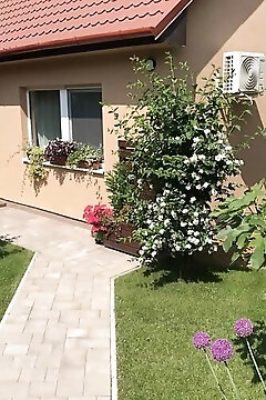 Janka Apartman Siófok