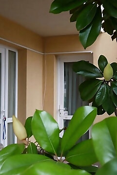 Petra Apartman Hajdúszoboszló